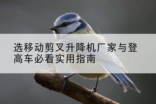 武乡电动升降机厂家-选移动剪叉升降机厂家与登高车必看实用指南