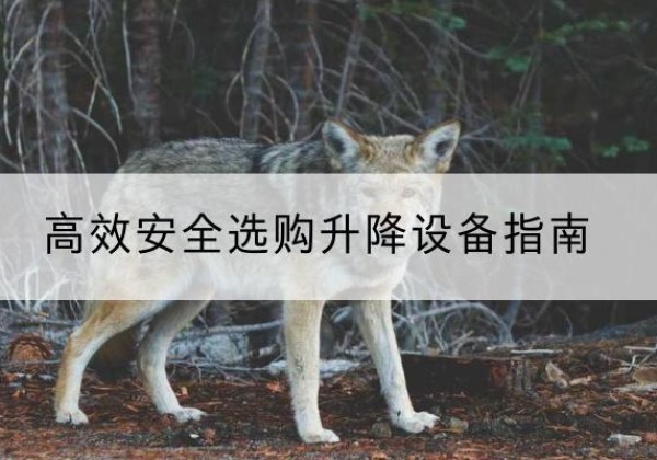 武乡升降货梯厂家推荐-*安全选购升降设备指南